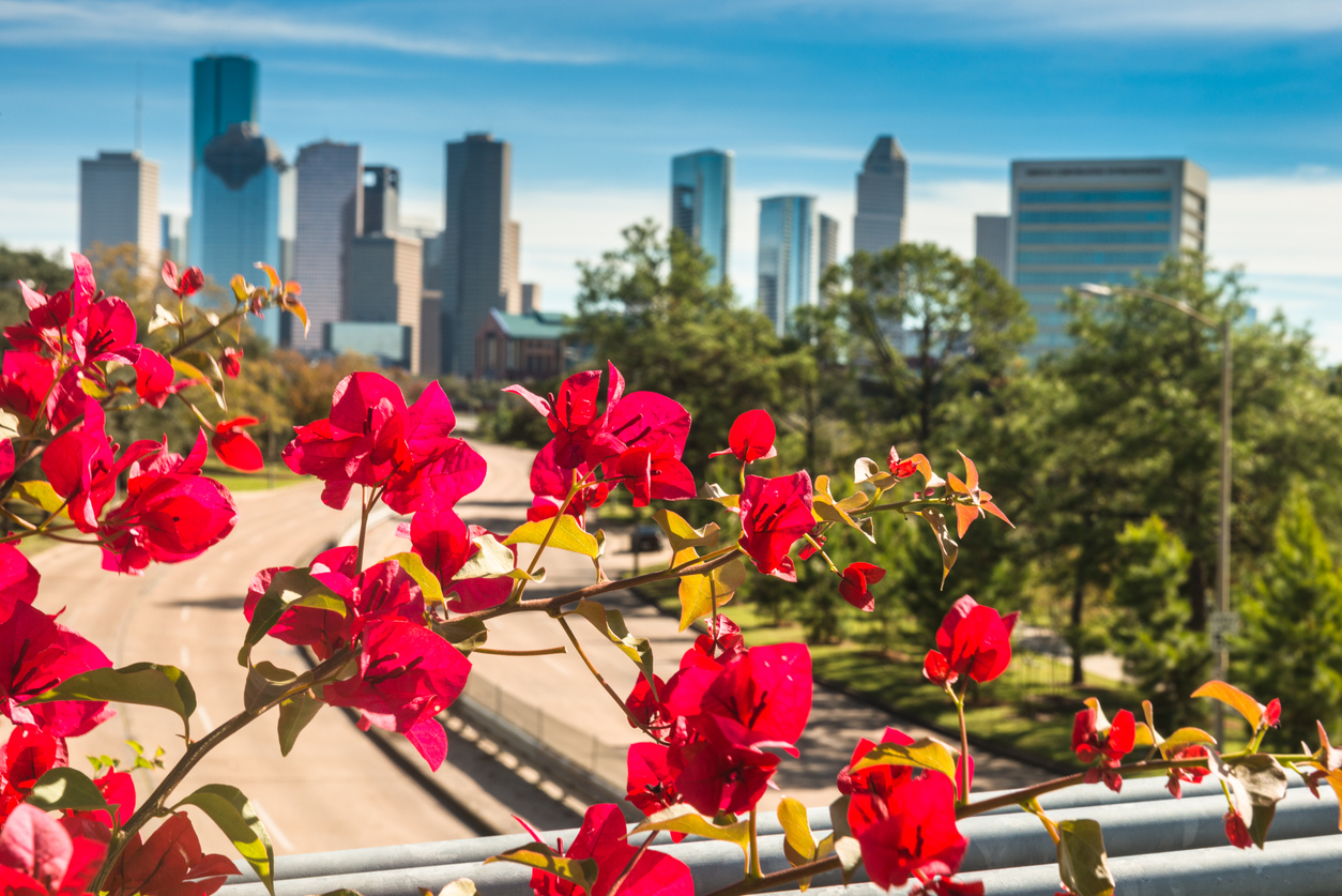 Panoramic Image of Spring, TX